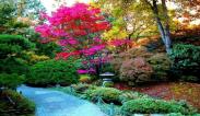 Jardineria y Riego